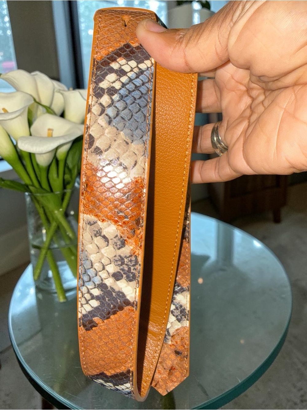 Ted Baker London "Hetty" Snake Print Crossbody Bag NWT - Picture 9 of 16